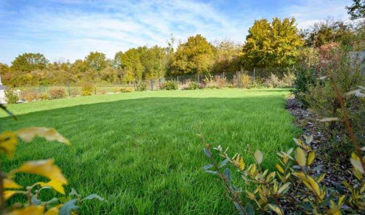 Entretien espaces verts Longwy