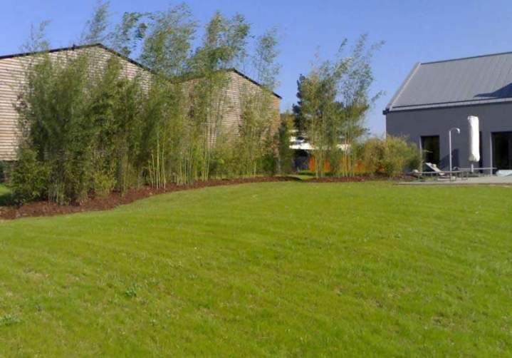 Entretien de votre jardin Longwy