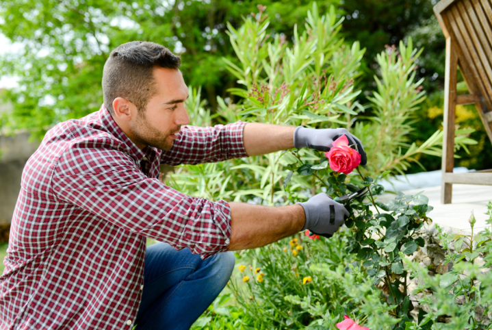 Capture du 2025 04 08 11 40 17