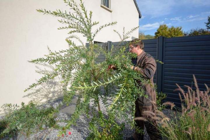 Travaux d'élagage Longwy
